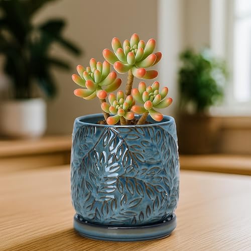 Embossed Leaves Ceramic Planter (4 Inch / Ocean Teal)