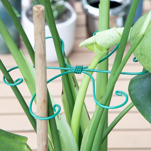 Green Monstera Plant Stem Support Set (Green / 7.5IN*7.5IN)