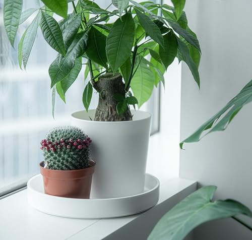 10 Inch Plastic Plant Saucer Water Drip Tray (10")