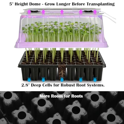 3 Pack Seed Starter Trays with Grow Lights (3p Trays+Domes+54 Cells+Lights)