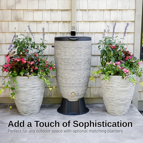 50 Gallon Newport Rain Barrel with Stand and Removable Lid (Slate / Rain Barrel)