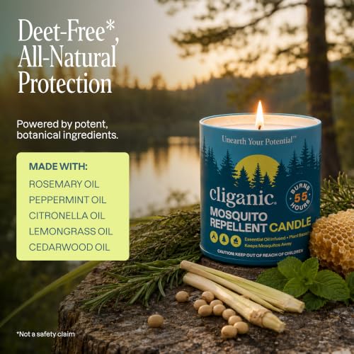 Citronella Candles Outdoor (16 Oz (Pack of 1))