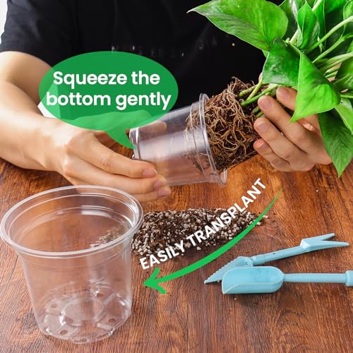 Clear Nursery Pots with Drainage Holes (30 Count)