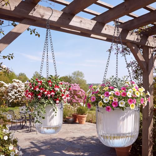2 Pcs 6.5'' 4.5' Hanging Self Watering Pot for Indoor Plant (Clear / 6.5'' 4.5')