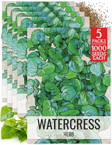 Watercress Seeds to Plant Heirloom Non (5 Packs)