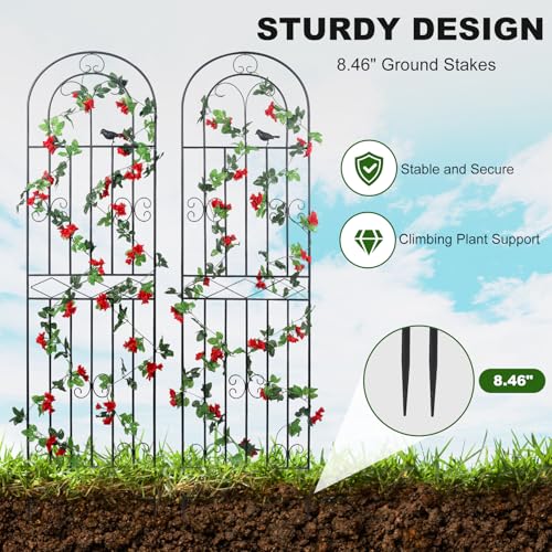 4 Pack 70.8" H x 19.7" W Metal Garden Trellis with Black Coating (70.8" H)