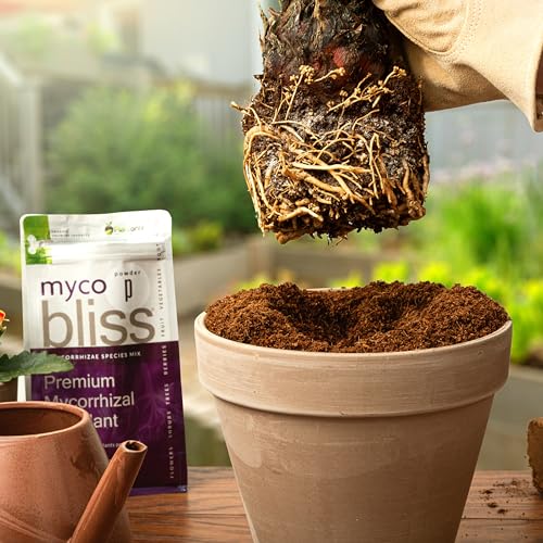 Worm Bliss 1 Qt (Bundles / Granular)