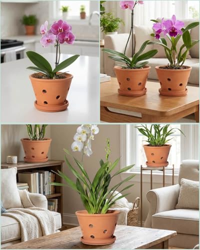 6 Inch Terracotta Orchid Pots with Holes and Saucers