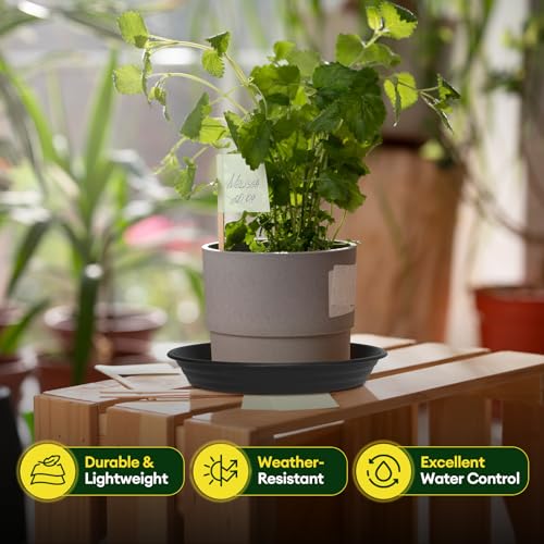 4 Pack 8" Plant Saucers Heavy Duty Plastic Plant Trays for Pots