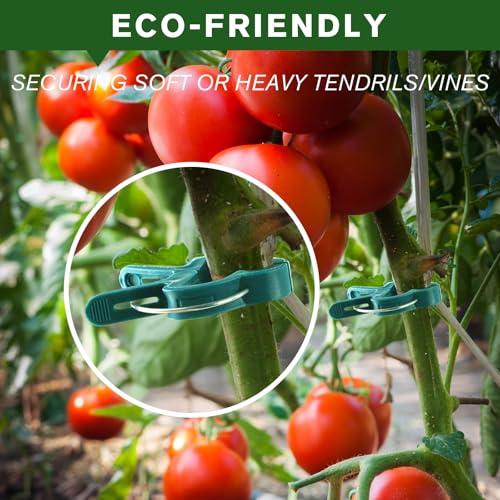 Plant Clips for Climbing Plants (green / 120 Big)
