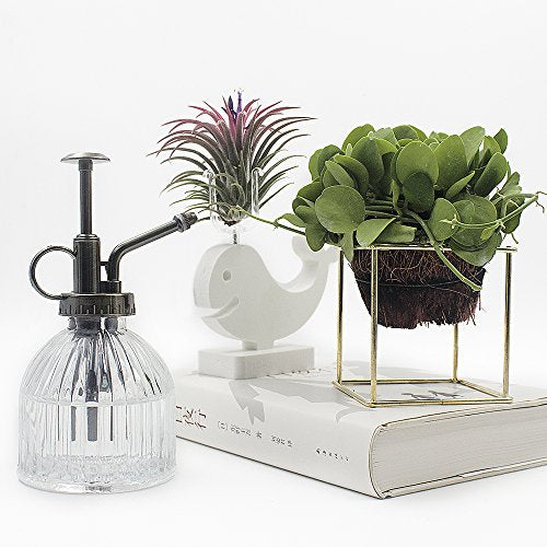 Glass Plant Mister Water Spray Bottle