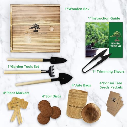 Bonsai Tree Starter Kit for Beginners