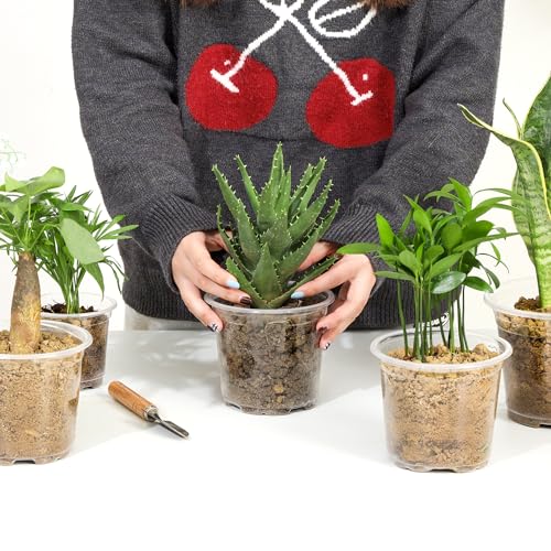 60 Pack 6/5/4Inch Clear Nursery Pots with Drainage Holes, Clear Plant Pot for Planting, Transparent Plastic Plant Pots,Durable Seed Starting Pot for Succulents (4/5/6Inch-60Pack)