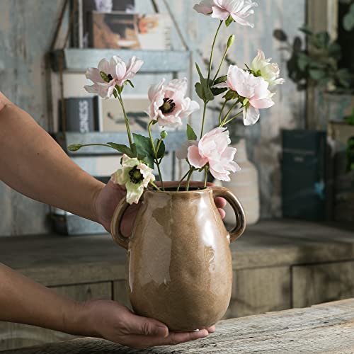 Brown Ceramic Vase with Handles (Brown)