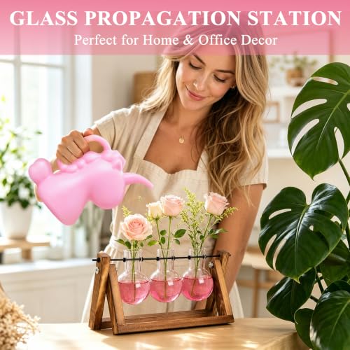 Plant Terrarium Kit with Wooden Stand 3 Gradient Pink Bulb Vases (Pink)