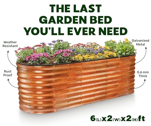 Galvanized Raised Garden Beds Outdoor (Dark Wood / 6×2×2 ft)