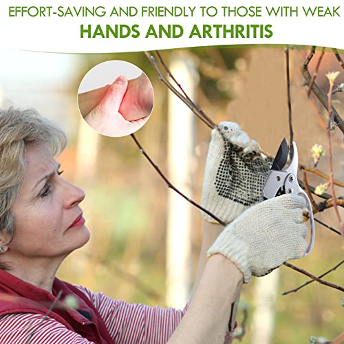 Germany Pruning Shears For Gardening