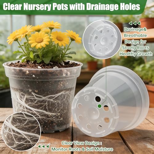 3 Inch Clear Nursery Pots 100 Pcs with 5 Pcs 20 Cell Potting Trays (Clear / 3 Inch Clear Pots 100 Pack with 5 Pack Trays)