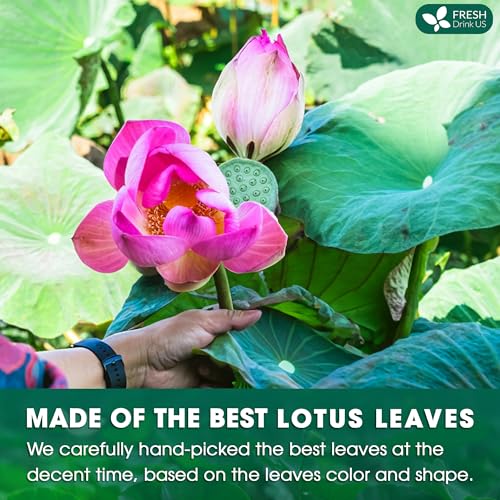 135 Lotus Leaf Tea Bags (135 Tea Bags)