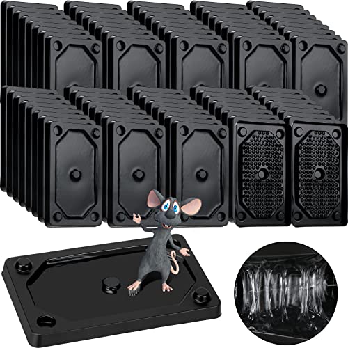 24 Pieces Mouse and Insect Glue Traps Baited Sticky Plastic Boards for House Rodents Heavier Adhesive Traps with Nontoxic Glue for Insects (24 Count)