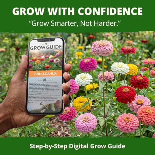 Zinnia Seeds Dahlia Mix