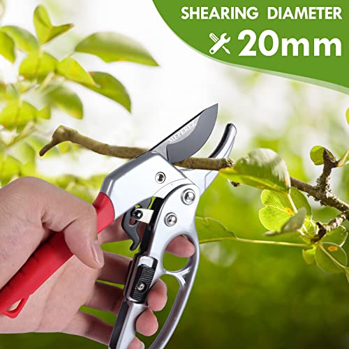 Germany Pruning Shears For Gardening
