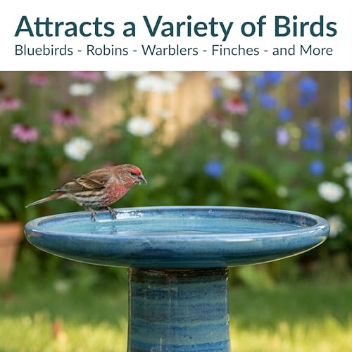 Sunnydaze Ceramic Bird Bath (Cloud Swirl)