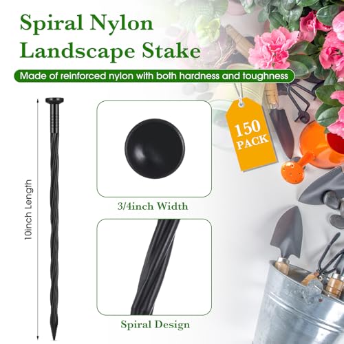 300 Pcs 8 Inch Black Landscape Edging Stakes (Black / 10 Inch)