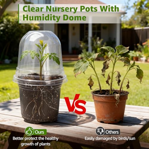 Clear Nursery Pots with Humidity Domes (Transparent / 3.5/4/5 Inch-with Lid)
