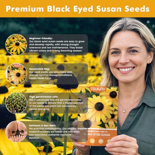 48000+ Black Eyed Susan Seeds for Planting