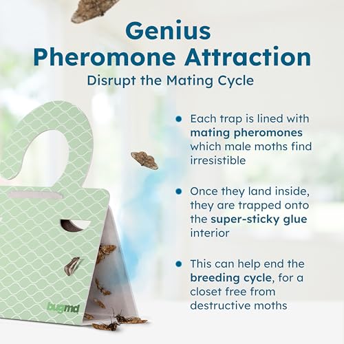 Clothes & Pantry Moth Traps with Sticky Glue (6 Count)