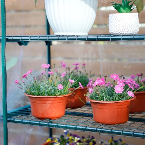 Garden 50% Extra Wide Mini Greenhouse 4 Tier Portable Plant Green House 40in Wide (4-Tier)