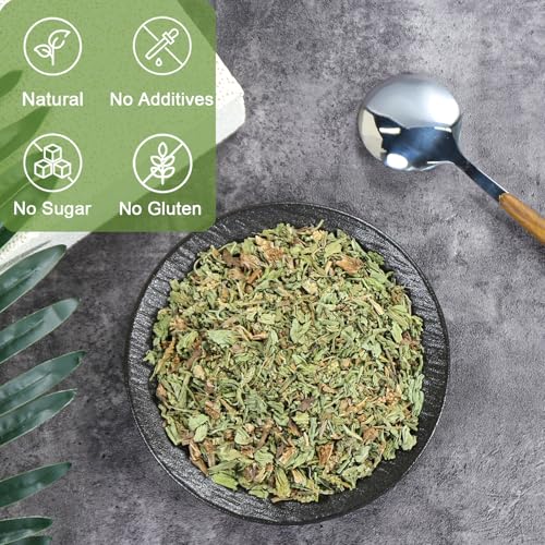 Plantain Leaf (2.5 Ounce (Pack of 1))