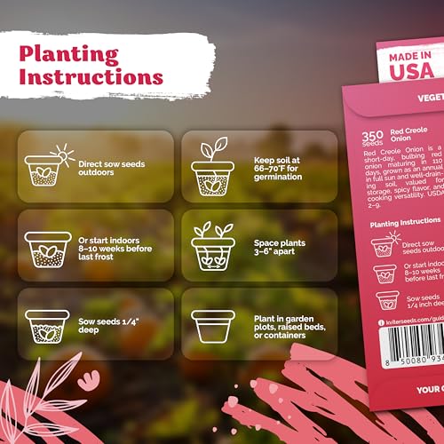 350 Red Creole Onion Heirloom Vegetable Seeds for Planting