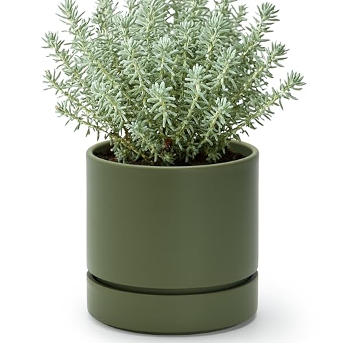 6 Inch Planter Pot with Drainage Hole & Saucer (6" (1 Pack) / Olive)