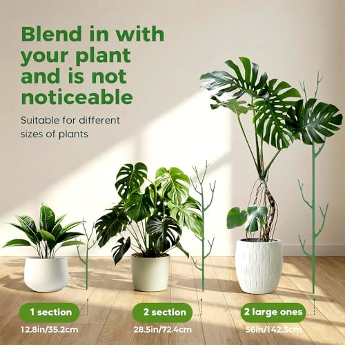10 Pack Stackable Monstera Plant Support