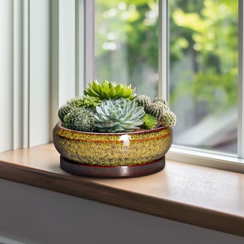 Bonsai Pots Ceramic (10 Inch / Leopard Yellow)