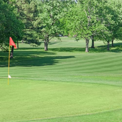 Brand Majestic Hulled Bermudagrass Seed