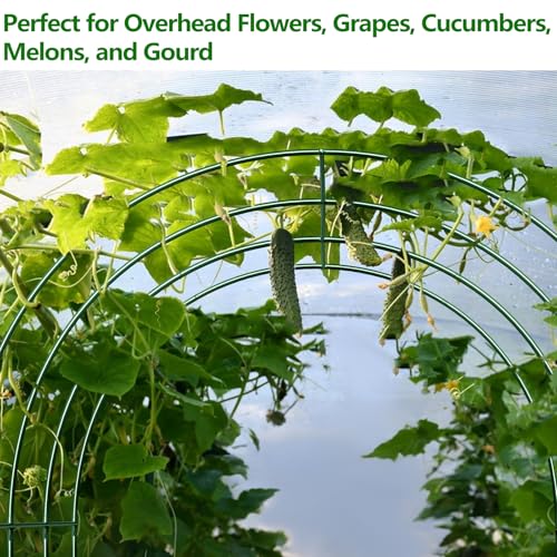 Large Garden Support Arch Frame for Climbing Plants (9.85 x 7.05 x 7.22 ft)