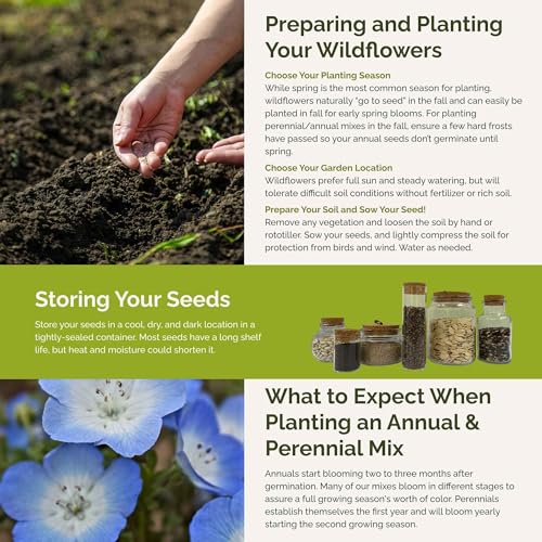 Singin the Blues Wildflower Mixed Seeds for Planting