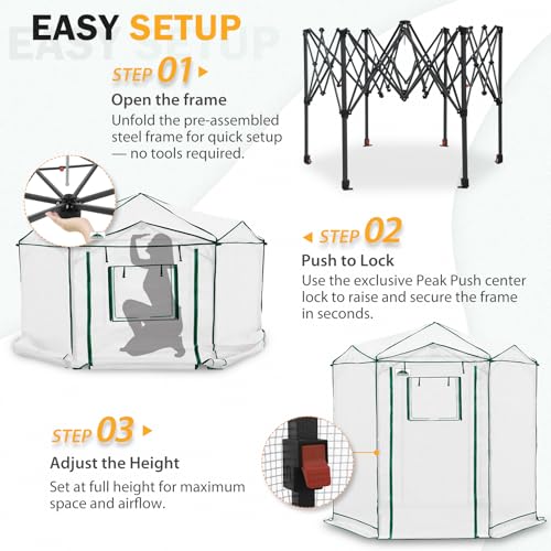 6.6x6.6 Easy Setup Pop Up Greenhouse (Clear/White / 6.6x6.6)