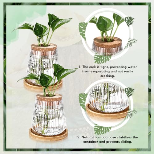 12 Pack Propagation Vases for Plants (Vertical Grain Style)