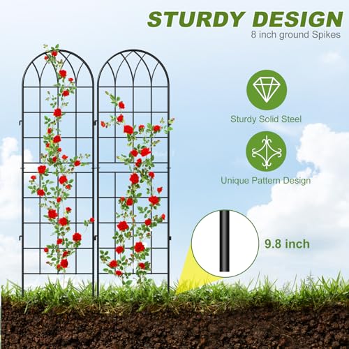 4 Pack Garden Trellis for Climbing Plants (71''H x 20''W/4 Pack / Black)