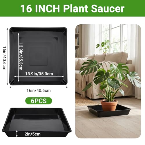 16 Inch Square Tray (16" / Black)