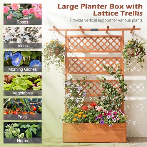 Raised Garden Bed with Trellis 2 Pack (Orange / 60"Lx22"Wx72"H)