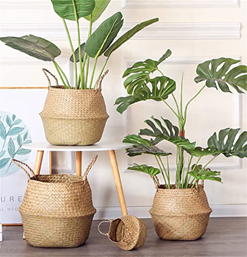 Large Woven Seagrass Belly Basket for Plant (XXL (12" D x 14" H) / Natural)