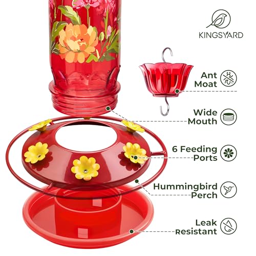 2 Pack Hummingbird Feeders for Outdoor Hanging (Red)