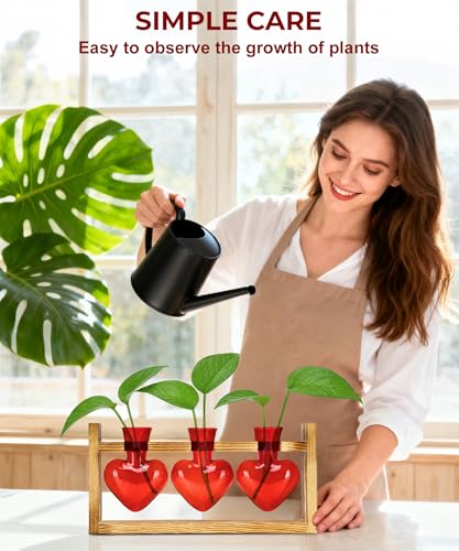 Plant Terrarium with Wooden Stand (Red)