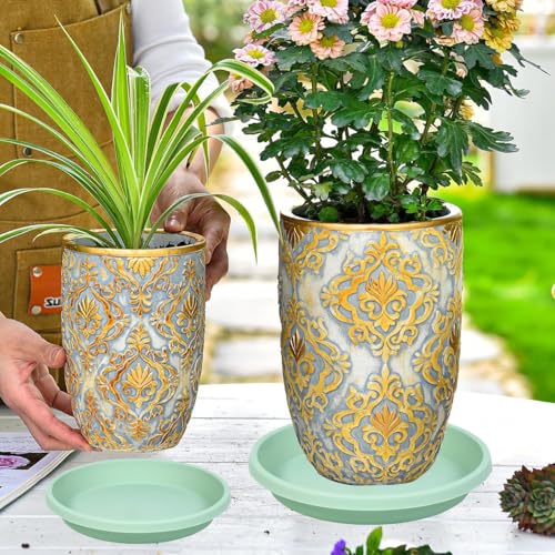 5 Pack Plant Saucer 6 Inch (6" (5 Pack) / Light_green)