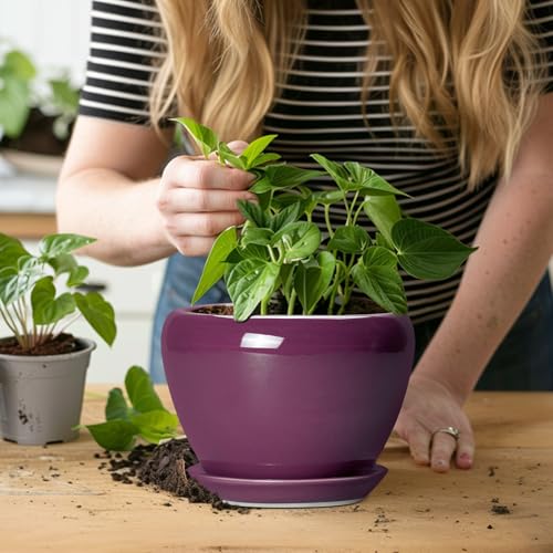 Ceramic Pots for Plants 6 Inch (6 Inch / Purple)